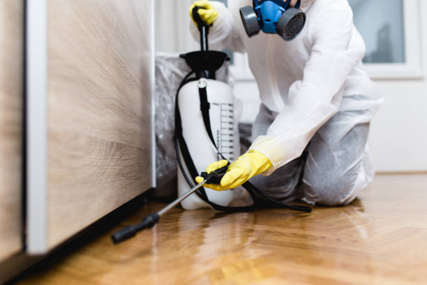 Best Exterminator Services  in Bon Aqua Junction, TN