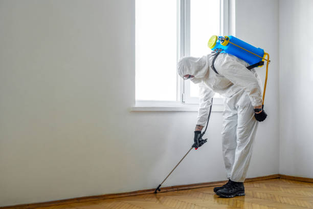 Best Affordable Pest Control Services  in Bon Aqua Junction, TN