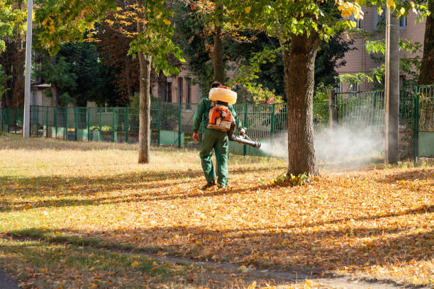 Best Residential Pest Control  in Bon Aqua Junction, TN